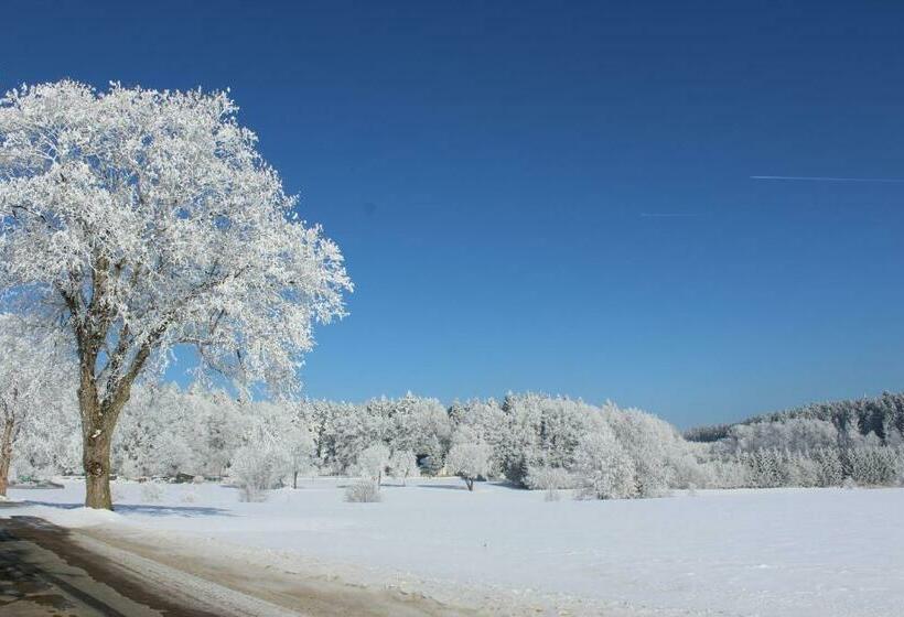 פנסיון Penzion Fořtovna