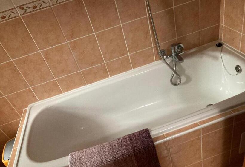 פנסיון Penzion Grasel