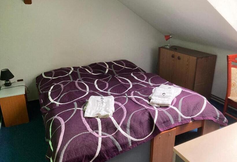 פנסיון Penzion Grasel