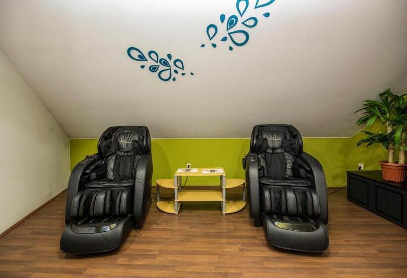 פנסיון Penzion Grasel