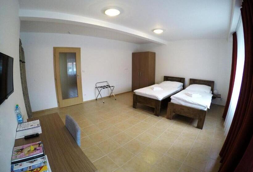 פנסיון Penzion U Tri Statkaru