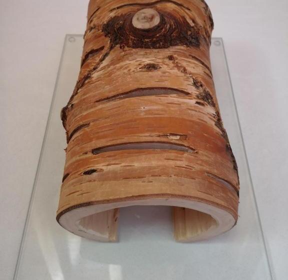 بنسيون Restor Natura Malga Mondent