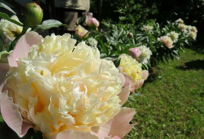 膳宿费 Tarjányi Vendégház