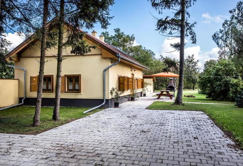 Пансион Török Vendégház