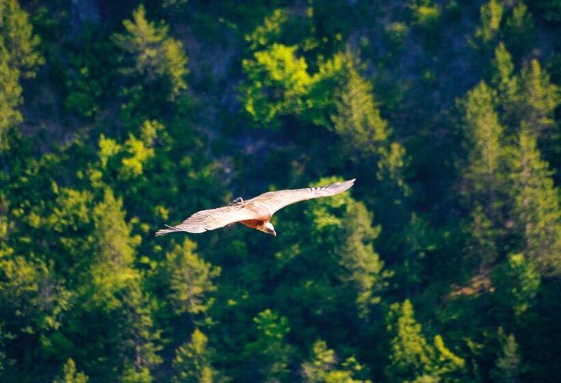 אתר נופש Village Club Les Lavandes   Neaclub