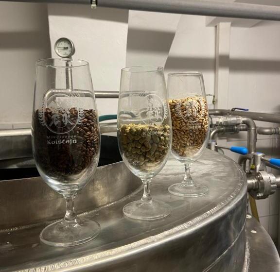 Wellness Hotel Kolštejn