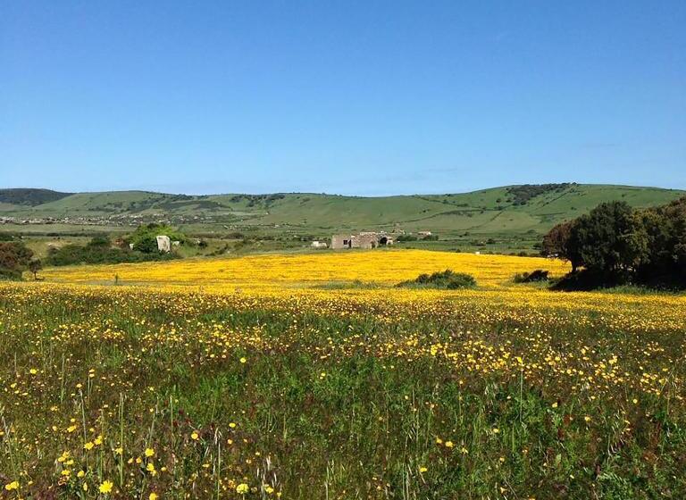 B&b La Tasgia