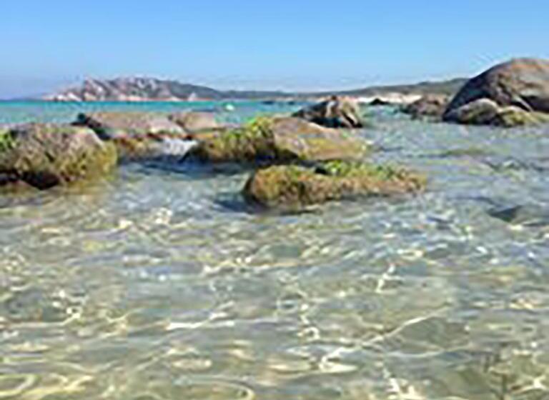 B&b La Tasgia