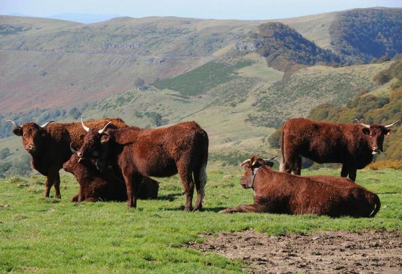 צימר Chambres D'hôtes Le Moulin Du Pont