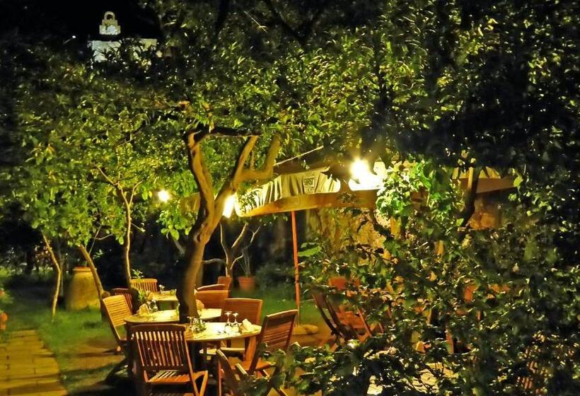 ホテル Albergo Lungomare