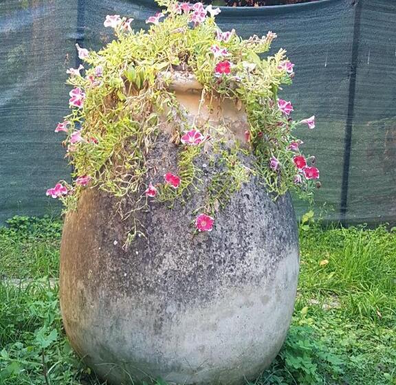 ホテル Albergo Lungomare