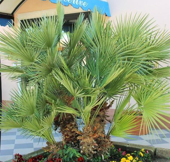 فندق Bellerive Ristorante Albergo