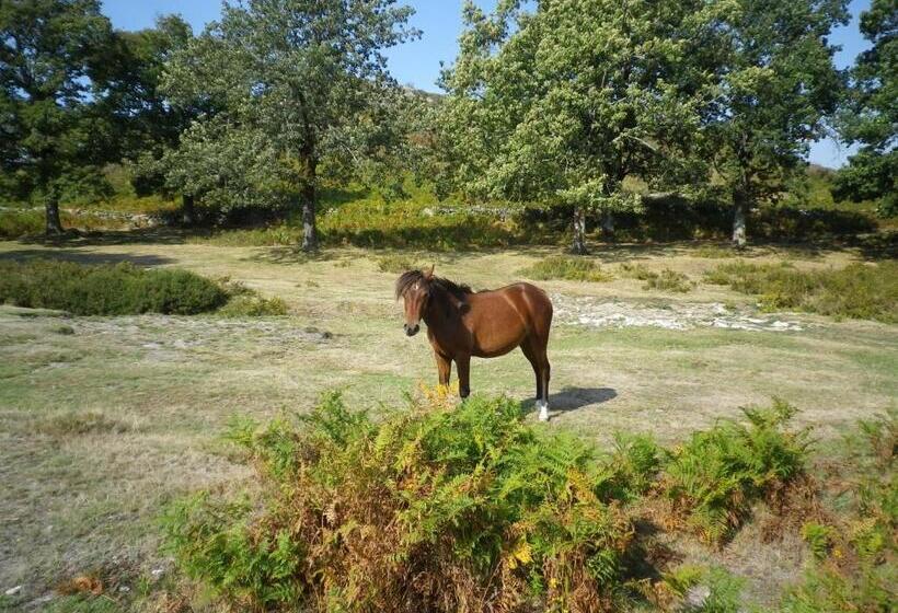 ホテル Casa De Dentro   Capitão Mor