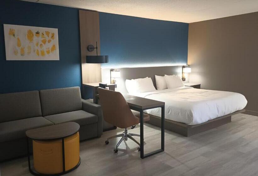 ホテル Rodeway Inn & Suites