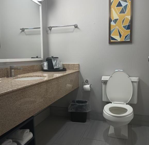 ホテル Rodeway Inn & Suites