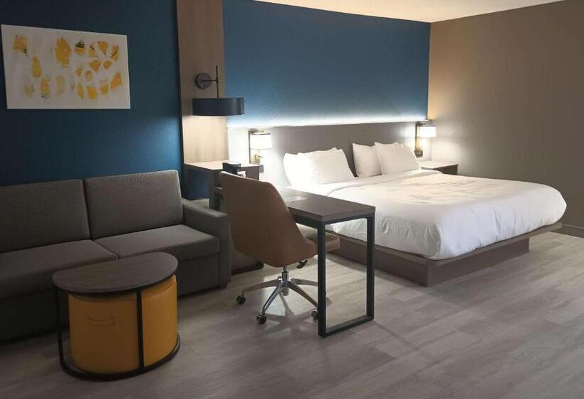 ホテル Rodeway Inn & Suites