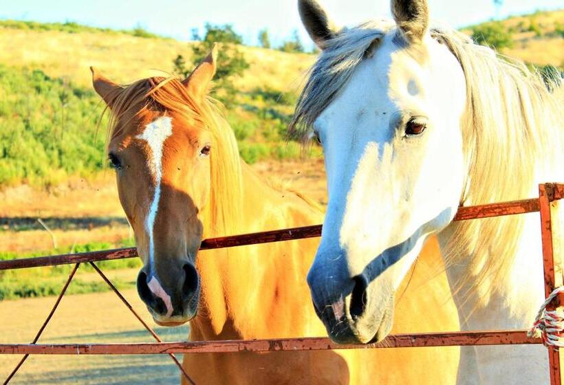Пансион Casa Do Adro De Parada