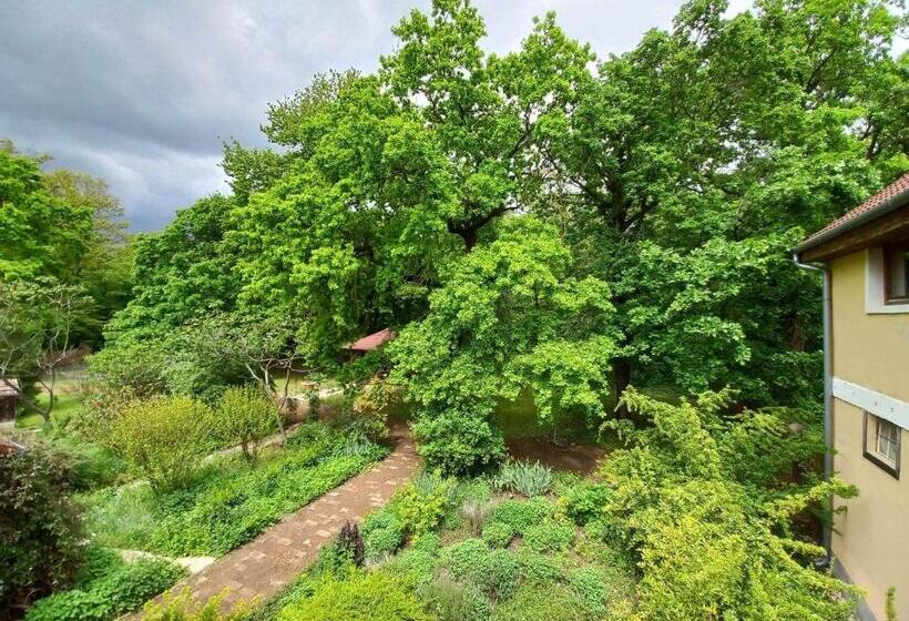 بنسيون Erdei Vendégház