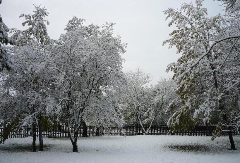 بنسيون Erdei Vendégház