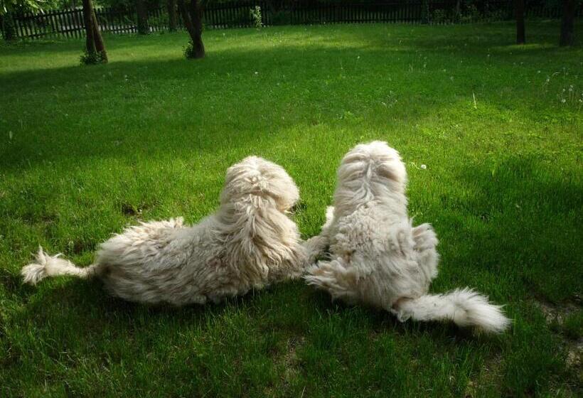 بنسيون Erdei Vendégház