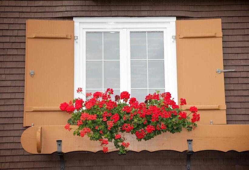 بنسيون Gästehaus Widderstein