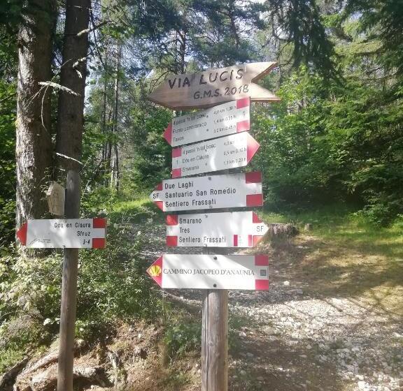 بنسيون Horse House