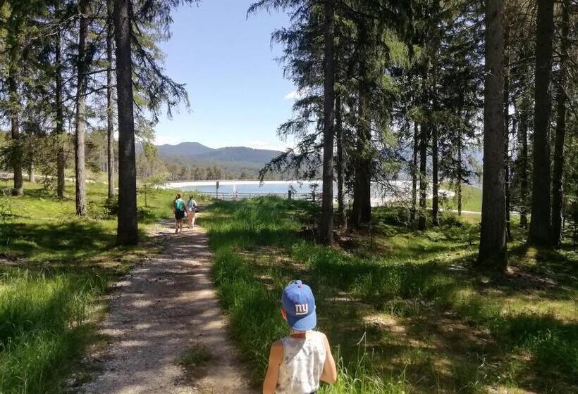 بنسيون Horse House