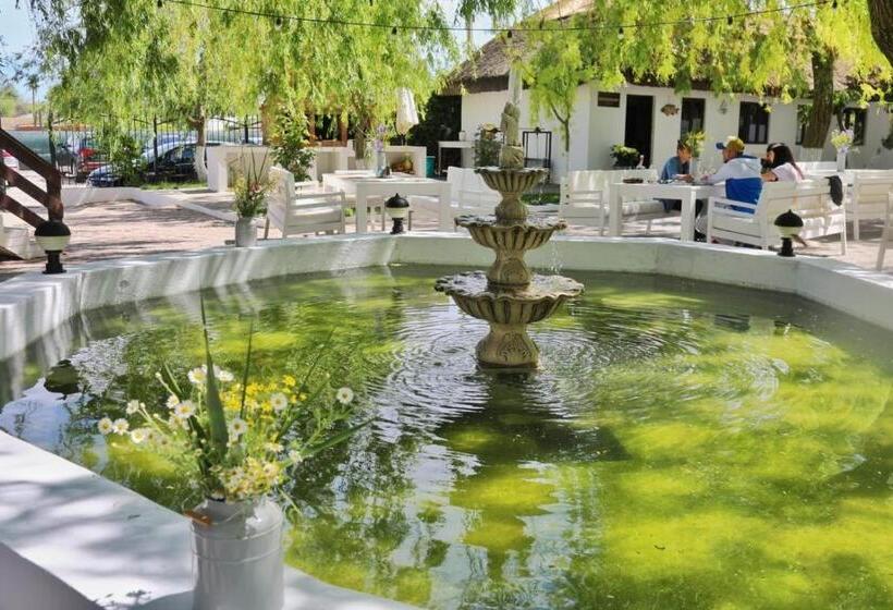 פנסיון La Salcia Linistita   Murighiol