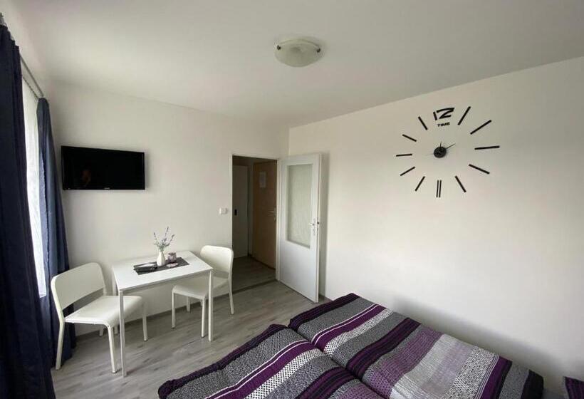 膳宿费 Penzion Kamejk