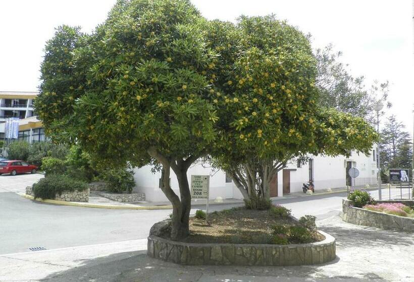 膳宿费 Rose Rooms At Island Of Rab