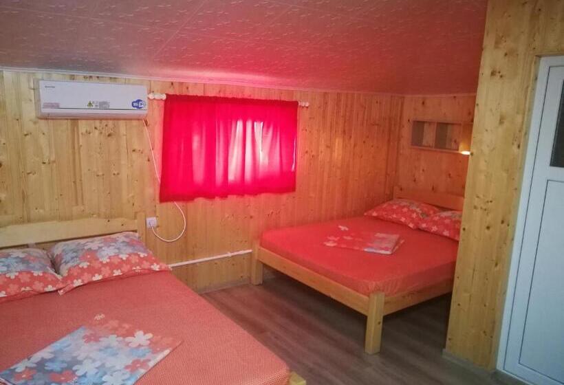 פנסיון Vila Baciu