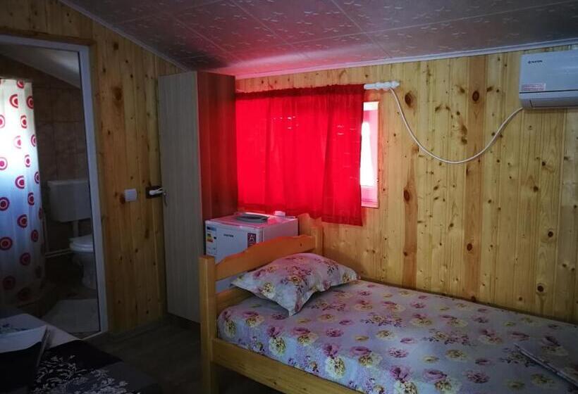 פנסיון Vila Baciu