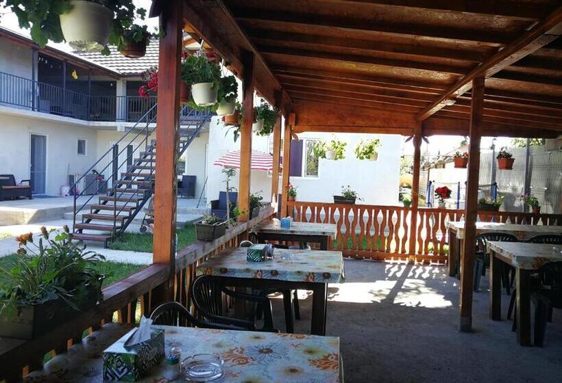 פנסיון Vila Baciu