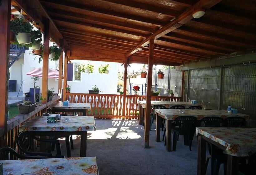 פנסיון Vila Baciu