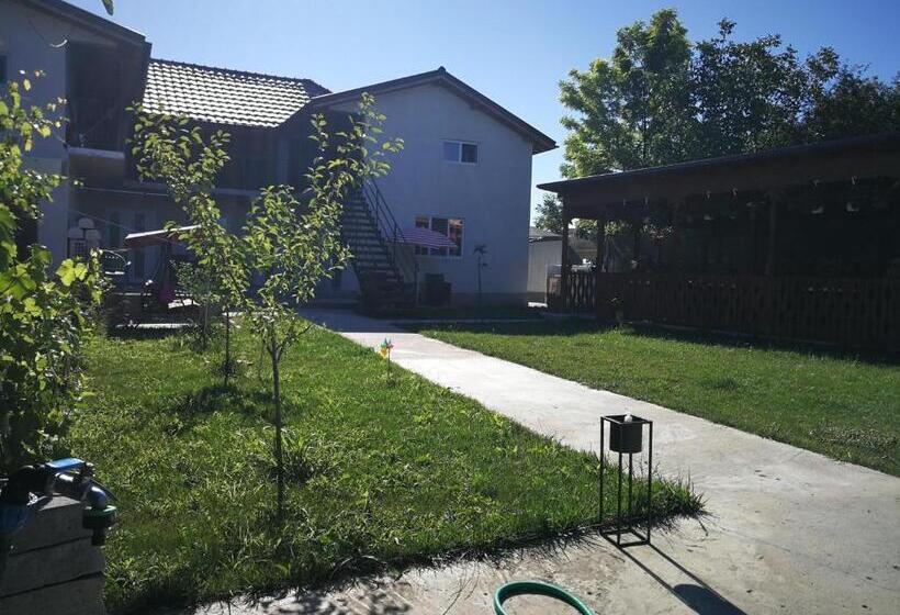 פנסיון Vila Baciu