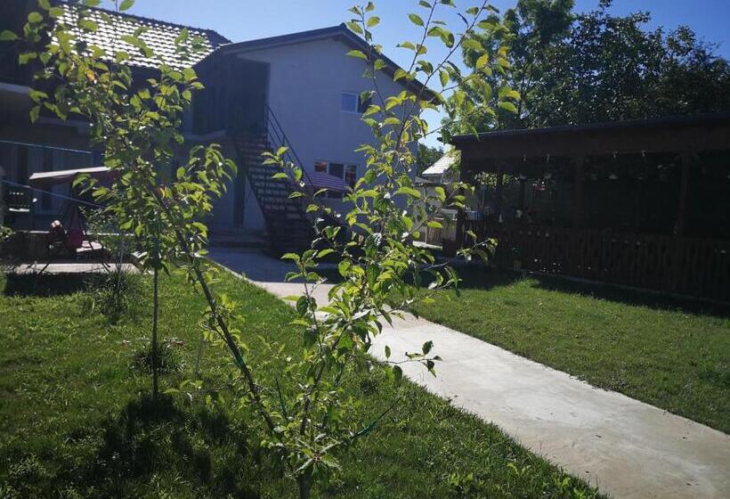 פנסיון Vila Baciu