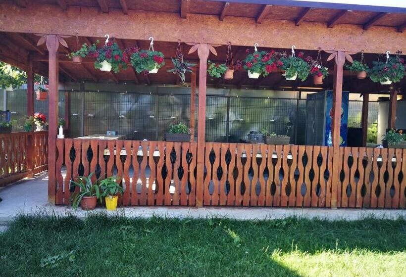 פנסיון Vila Baciu