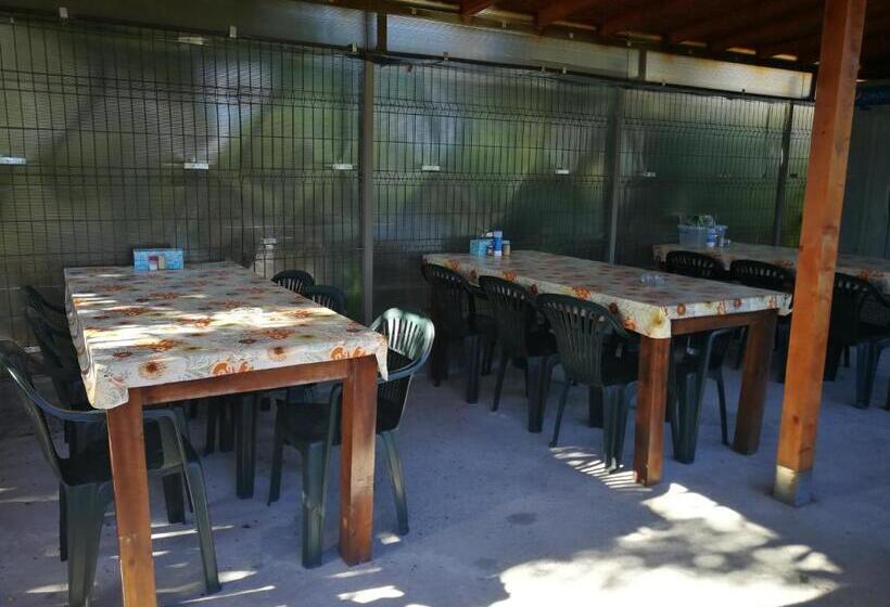 פנסיון Vila Baciu