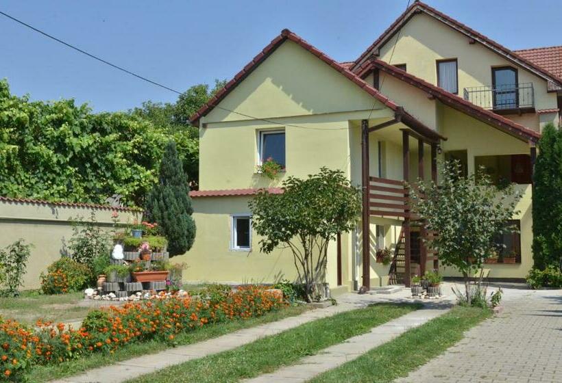 بنسيون Vila Bel Ami