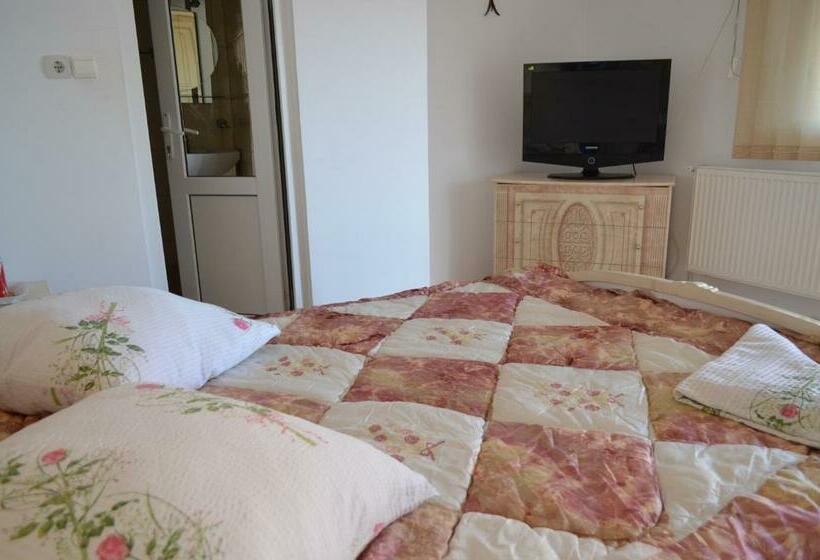 펜션 Vila Costel&mirela