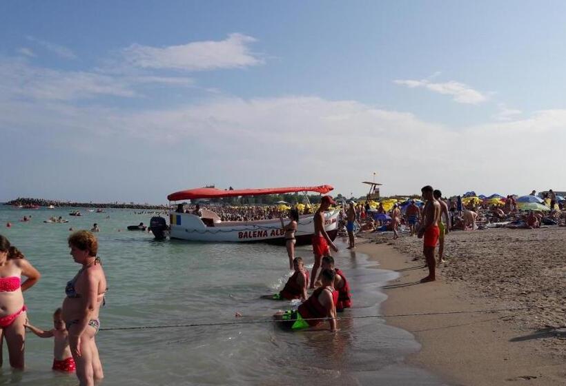 פנסיון Vila Liliana