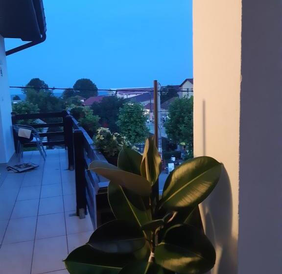 פנסיון Vila Liliana