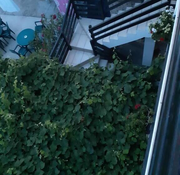 פנסיון Vila Liliana