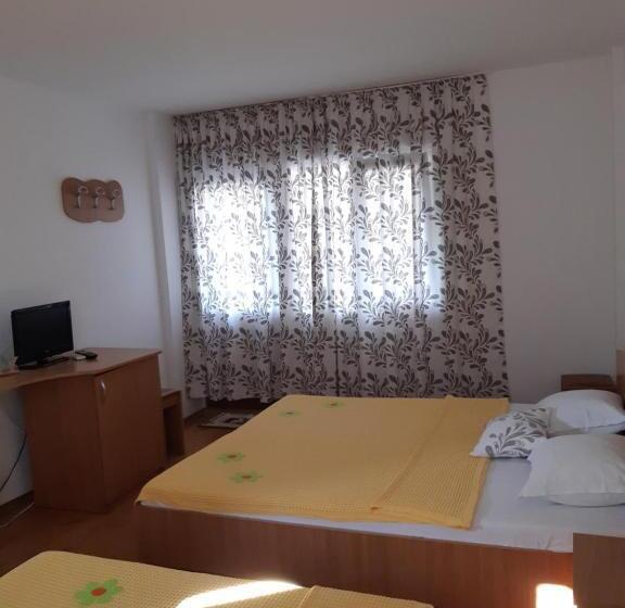 פנסיון Vila Liliana