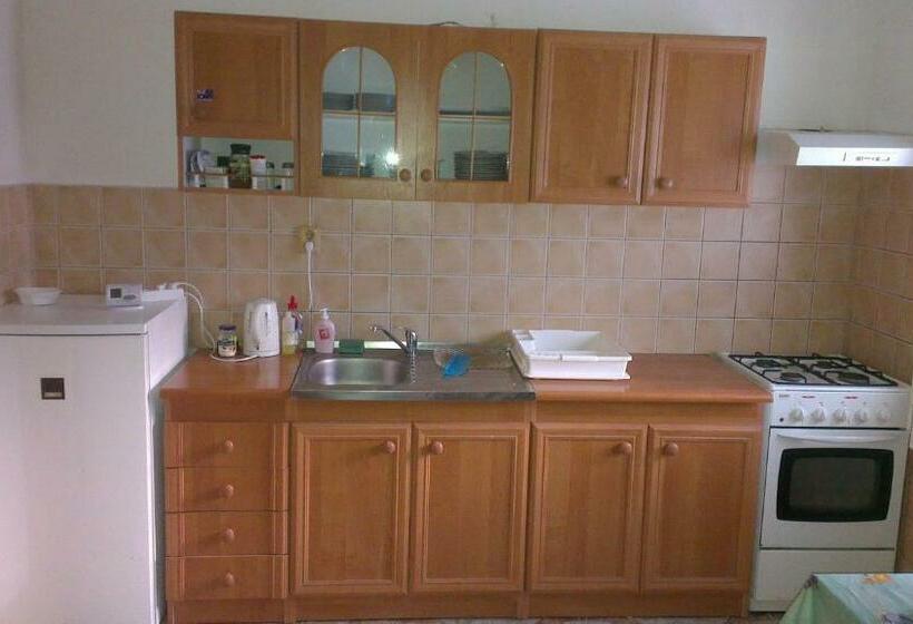 Пансион Vila Nela