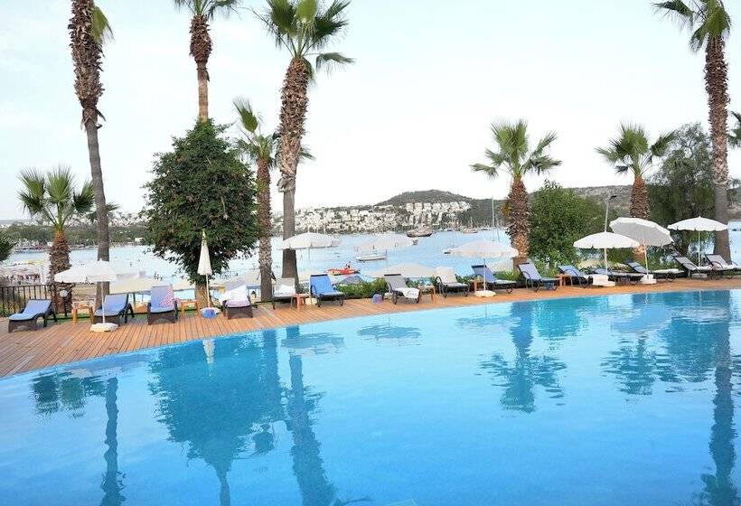 Amilla Beach Resort