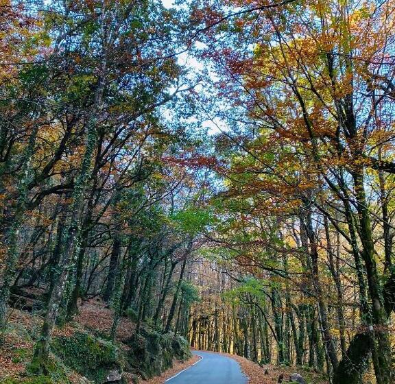 Av Apartamentos Lobios