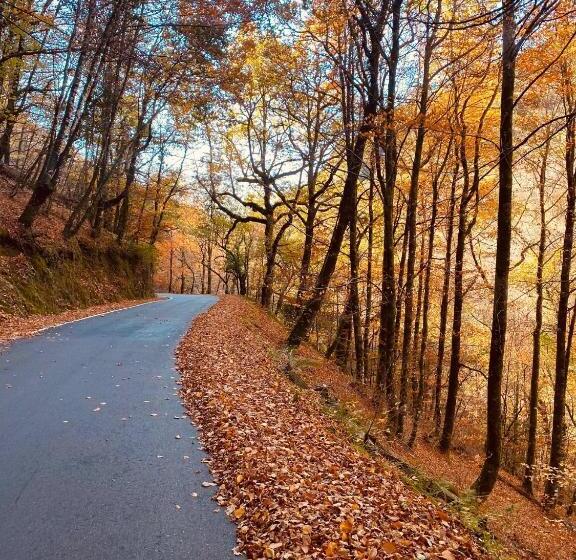 Av Apartamentos Lobios