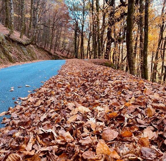 Av Apartamentos Lobios