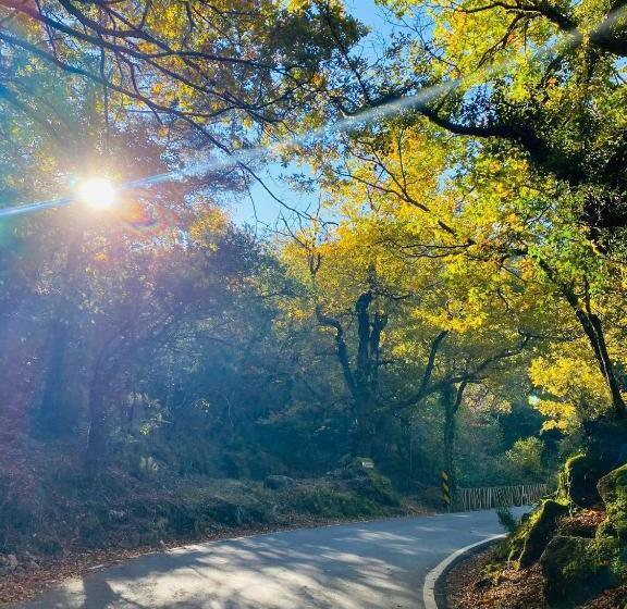 Av Apartamentos Lobios